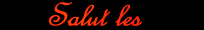 Salut les copains